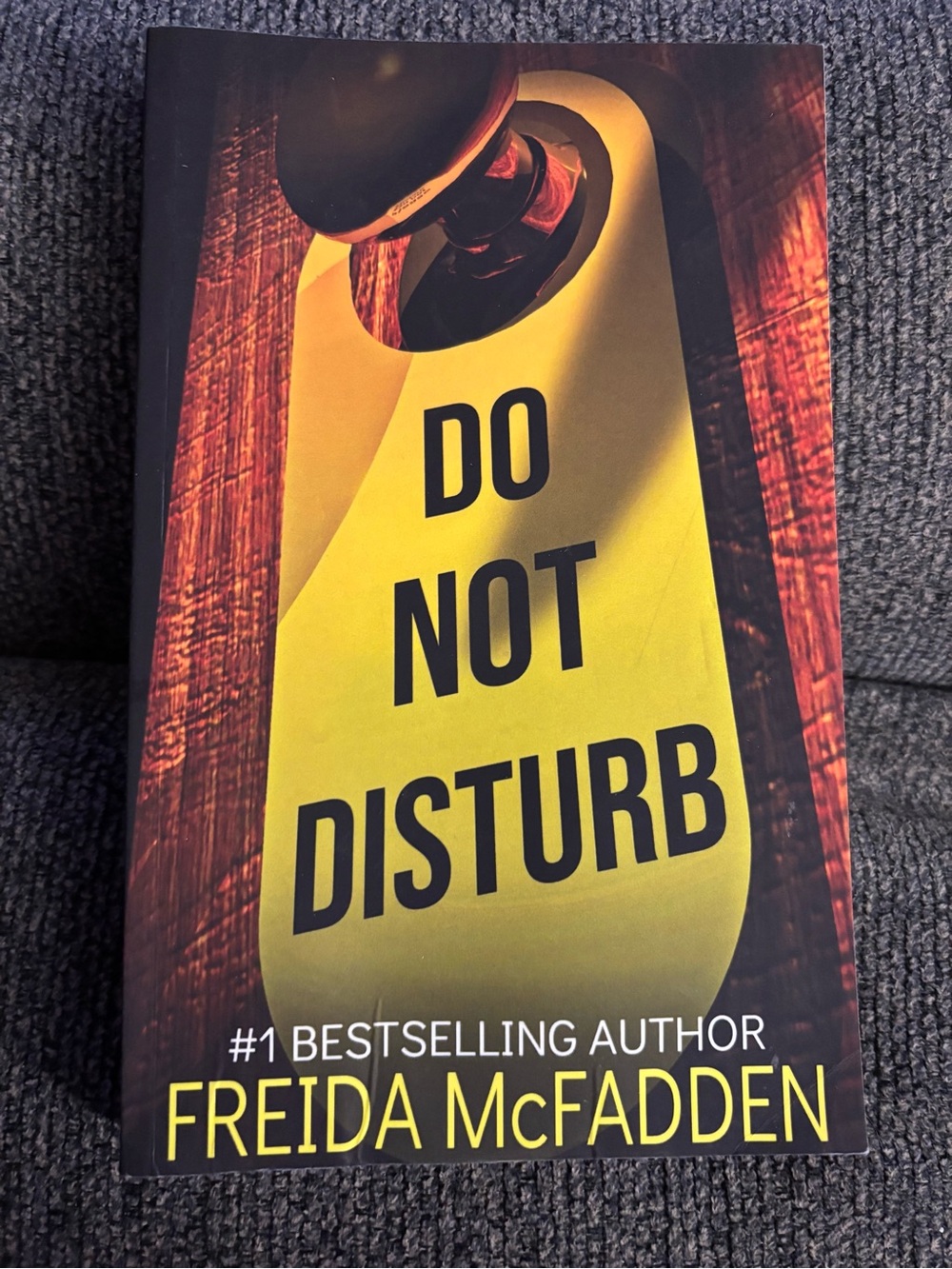 Do Not Disturb Freida McFadden